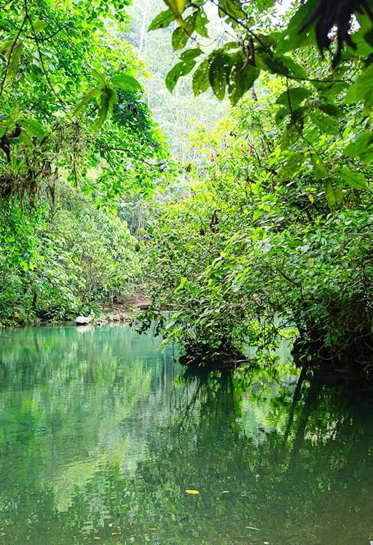 Reserva Ecológica Santa Elena