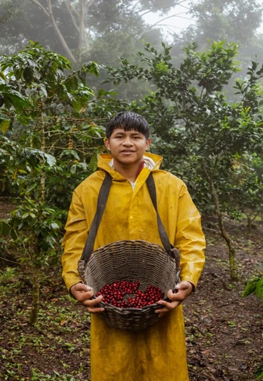  Ruta del Café en San Ignacio 