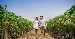 Festival de la Vendimia Tacna 2024