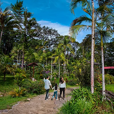 ¡Descubre el encanto del café peruano  en Villa Rica!