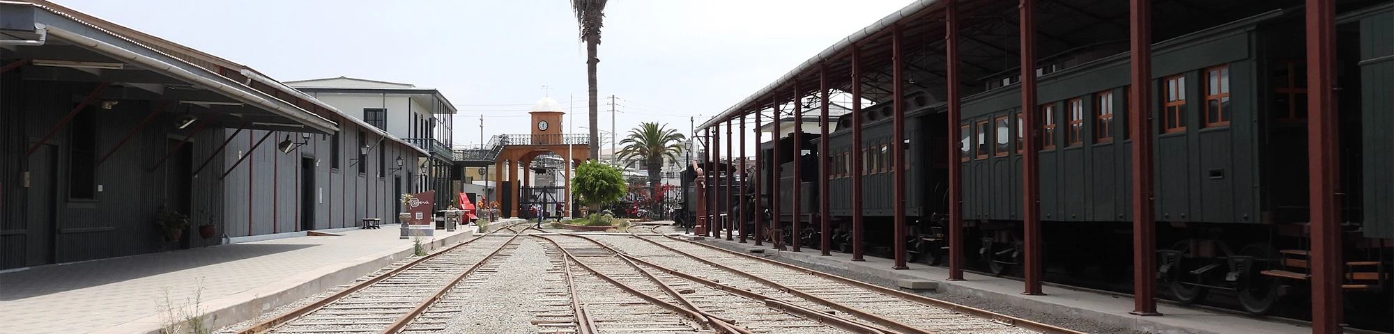 Servicio Ferroviario Tacna - Arica reanuda sus servicios