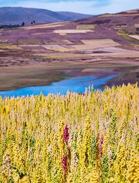 Ayacucho colonial para dejarte buenos recuerdos