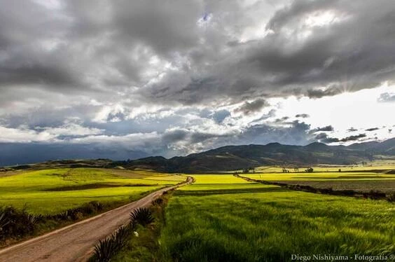 mapi-fin-de-año_17-3