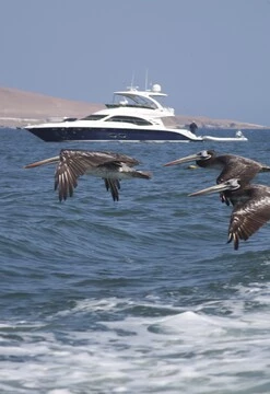 Paracas y Huacachina