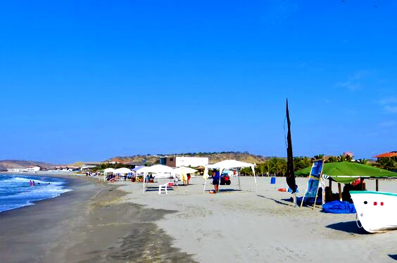 tortugas-relax_02022022_20-2