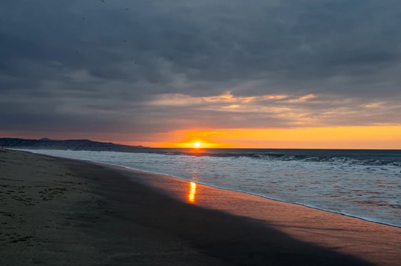 tortugas-relax_02022022_20-3