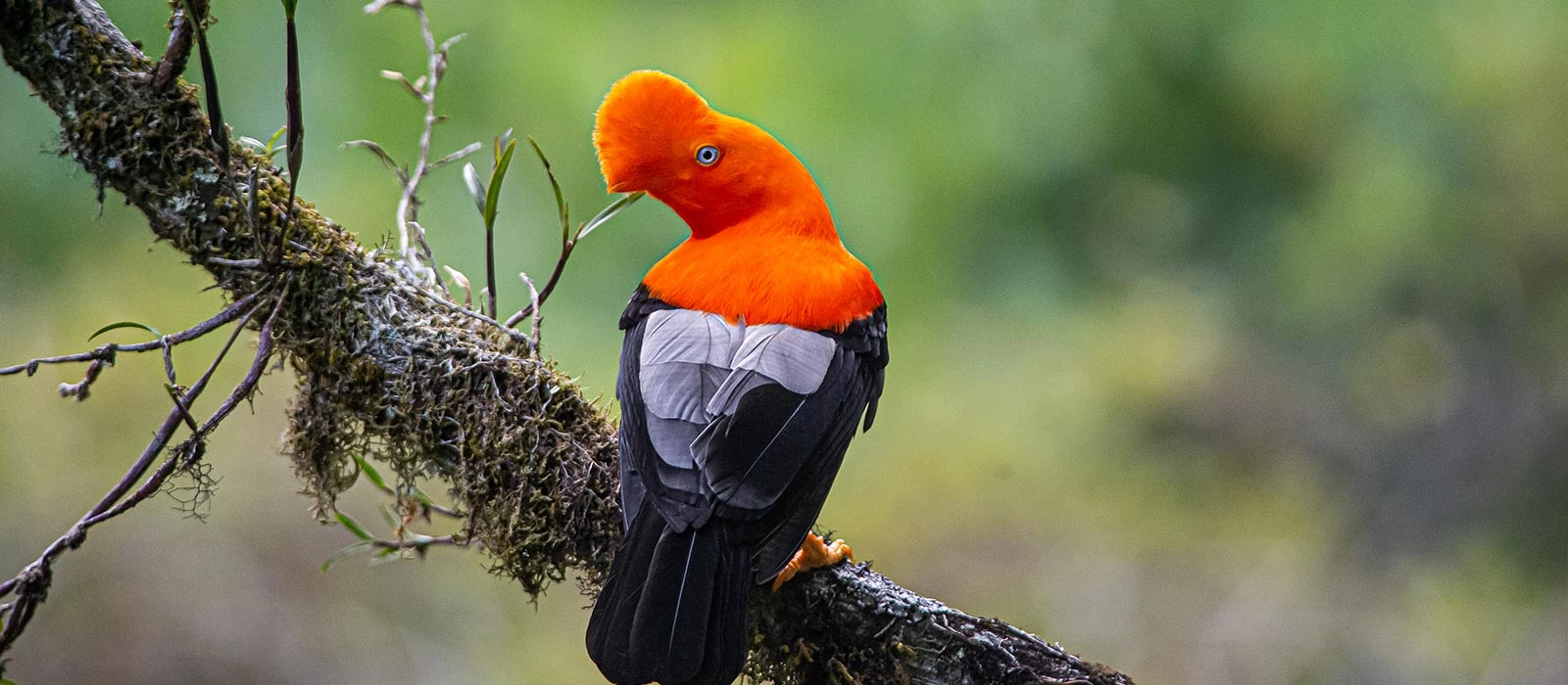 ¡Promociona tu negocio en Y Tú Qué Planes!