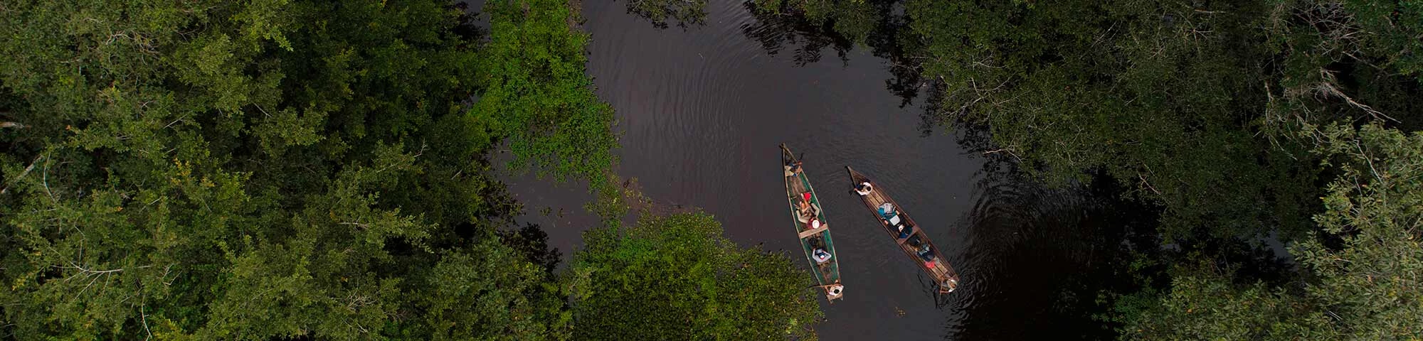 Reserva ecológica Tingana