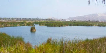 Visita los Pantanos de Villa