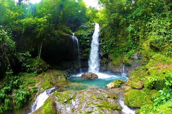 explora-tingo_18032022_2